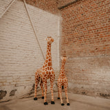 Realistic Plush, Giraffe 195cm (large)