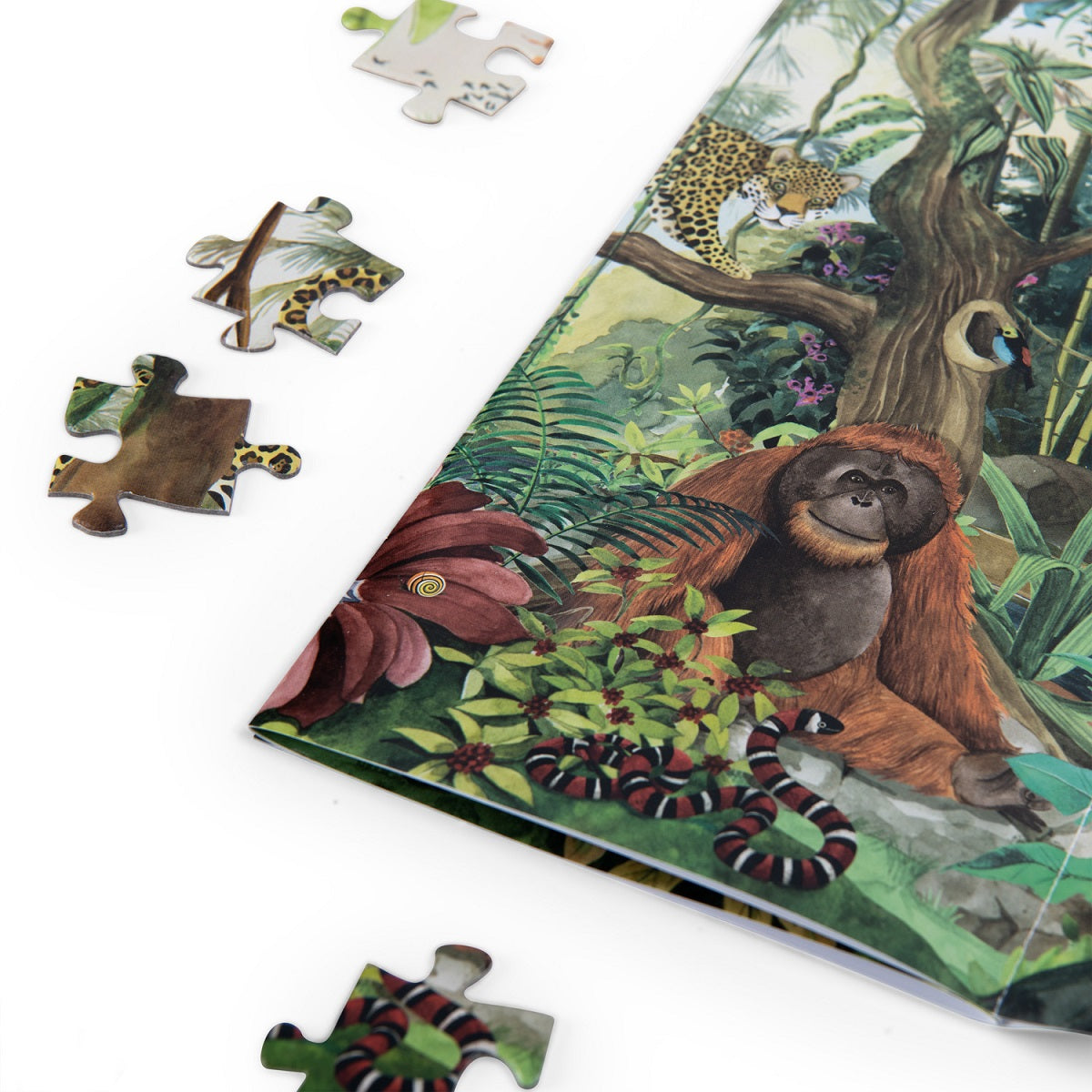 Tout Autour Du Monde - In The Rainforest Puzzle 350 pcs