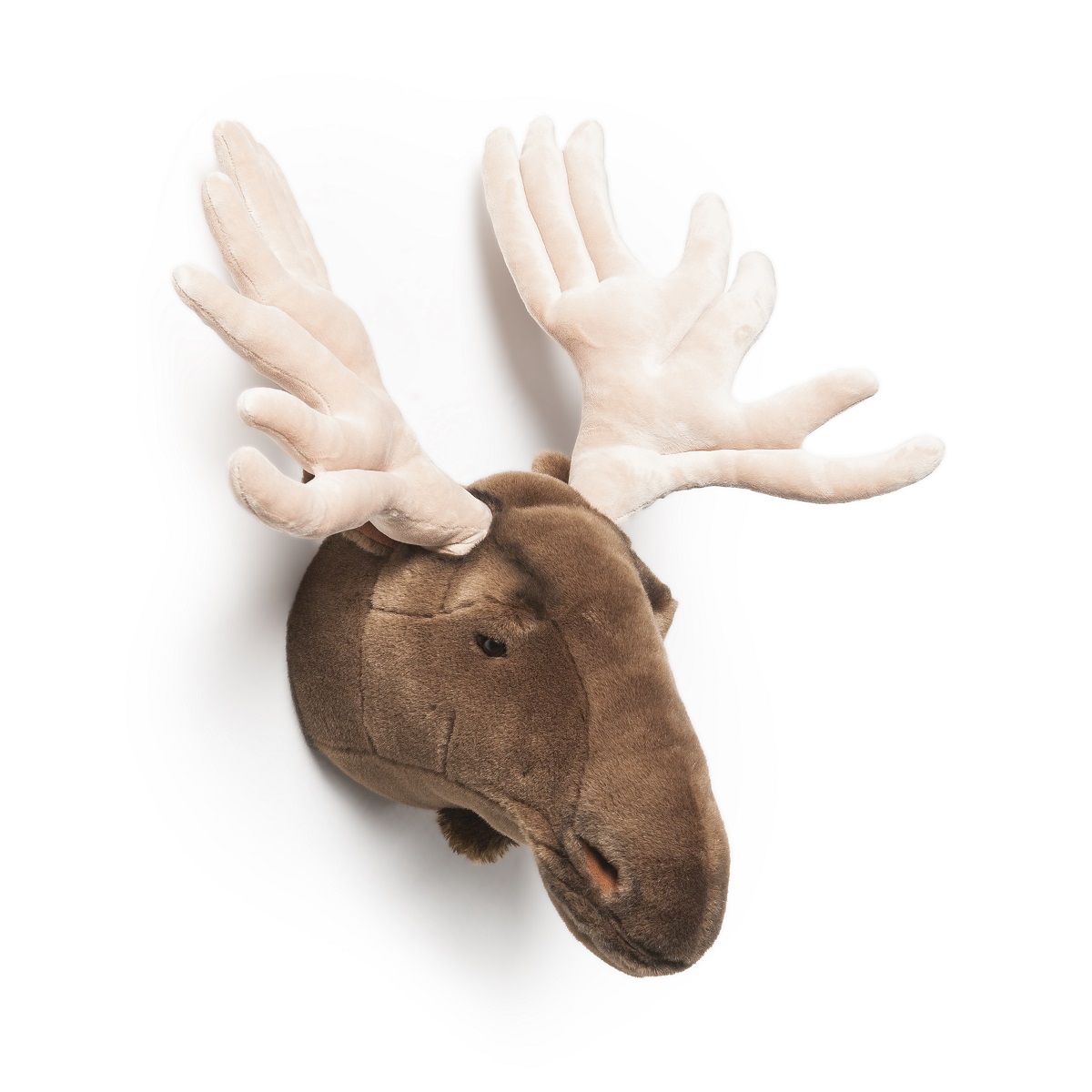 Head Large Moose, Alfred 