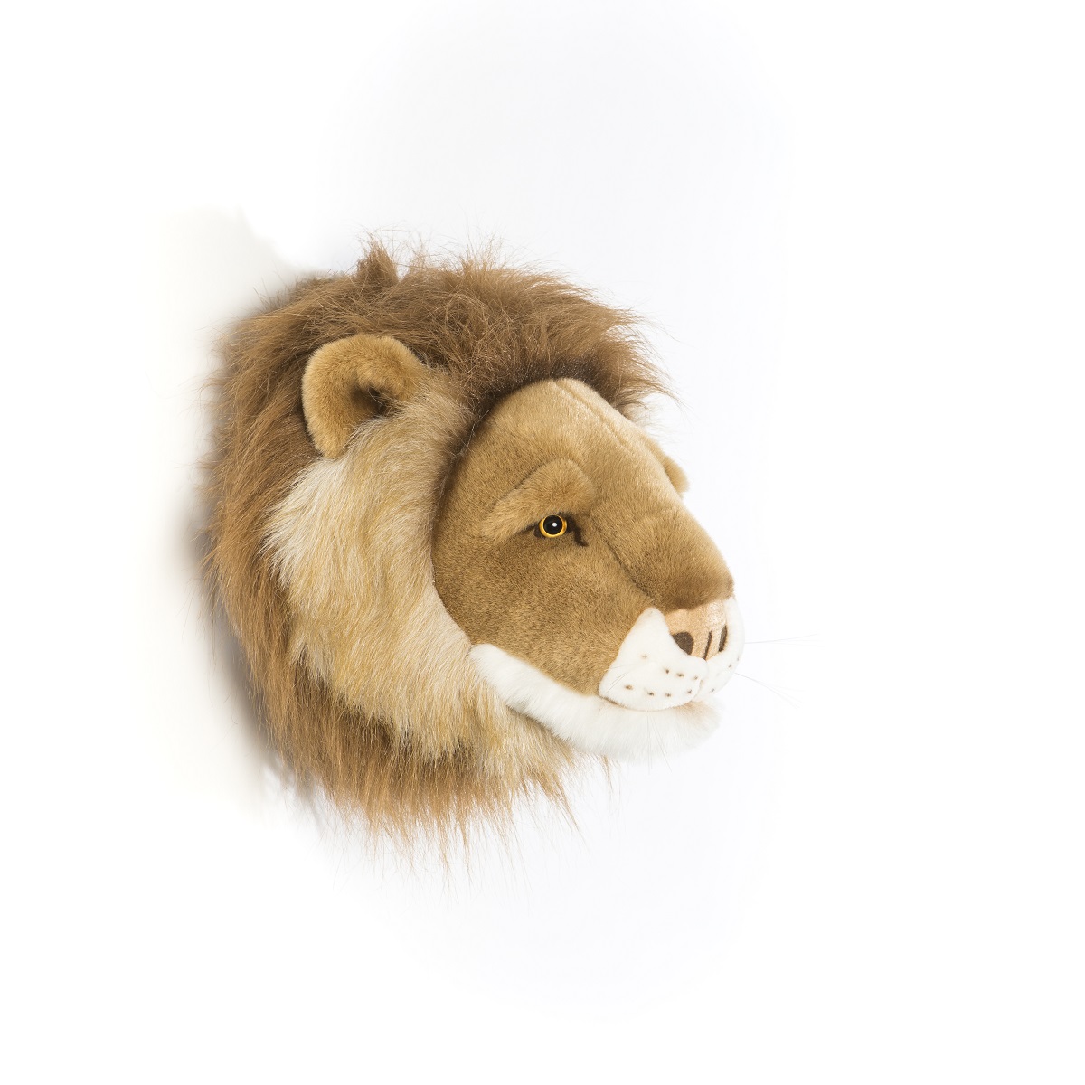 Head Large Lion, Cesar 