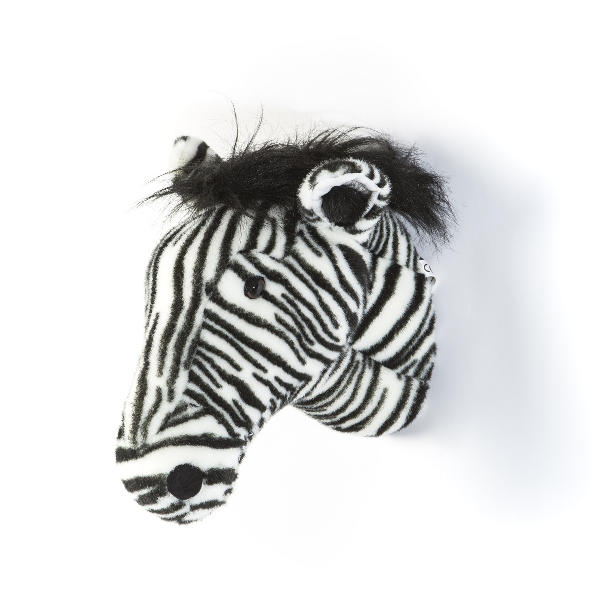 Head Large Zebra, Daniel 