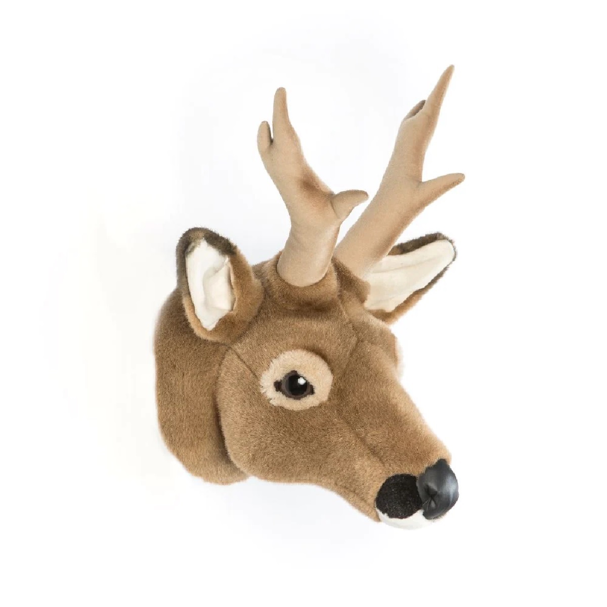 Head Large Roe-Deer, Toby 