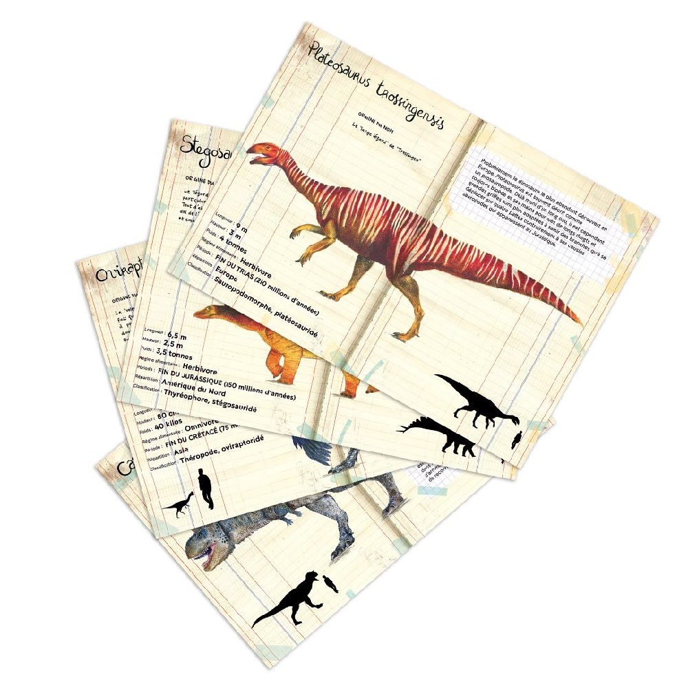 Museum National dHistoire Naturelle - Dinosaur Magnets PRE-ORDER FOR SUMMER 2024