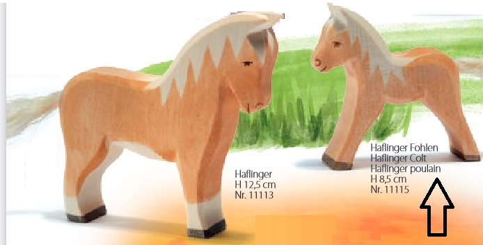 Horse - Haflinger Colt