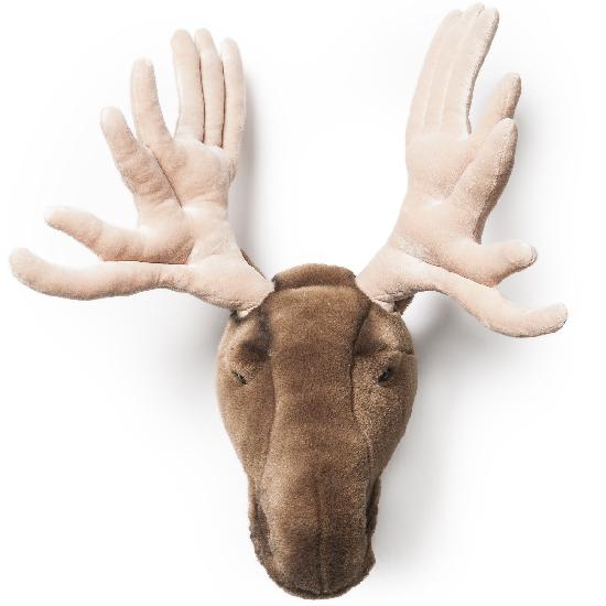 Head Large Moose, Alfred 