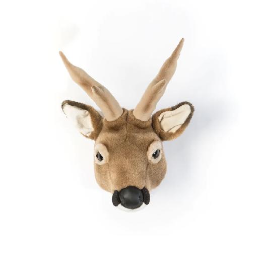 Head Large Roe-Deer, Toby 